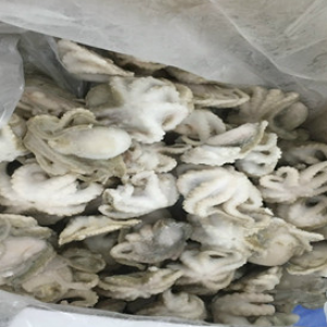 Bạch tuộc 1 da nguyên con làm sạch đông lạnh Bạch tuộc 1 da nguyên con làm sạch đông lạnh